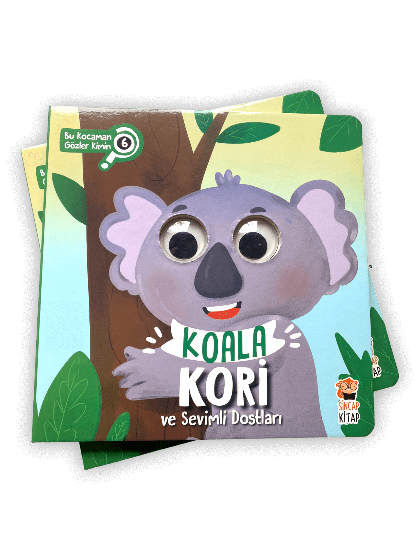 Koala Kori ve Sevimli Dostları - Bu Kocaman Gözler Kimin - (Wem gehören diese großen Augen ? )