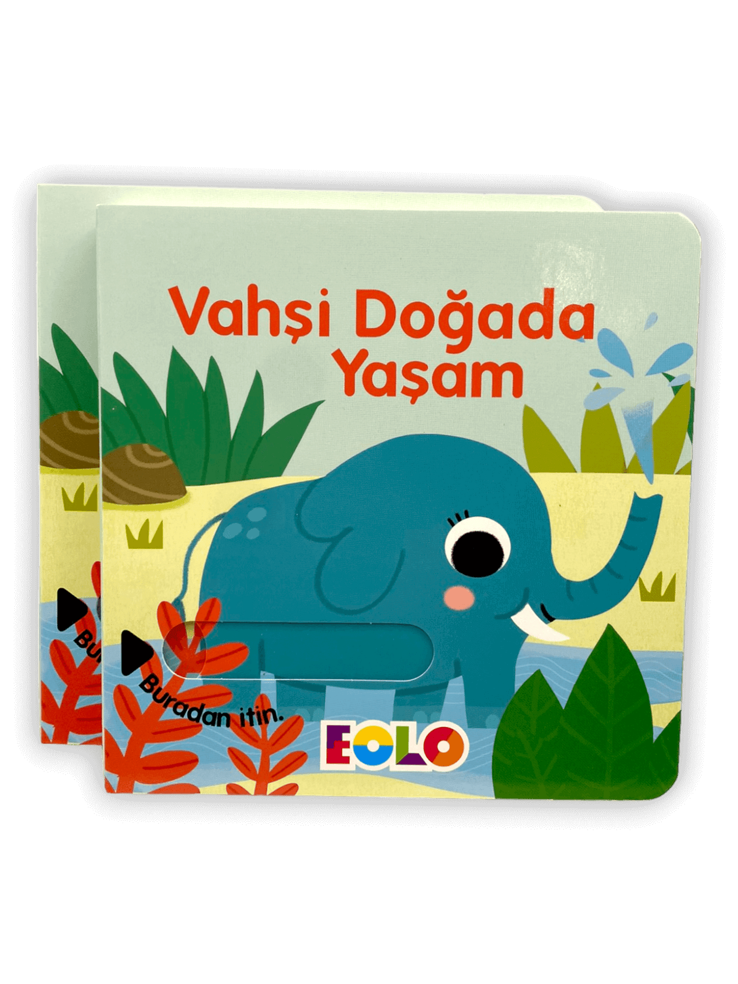 Vahşi Doğada Yaşam