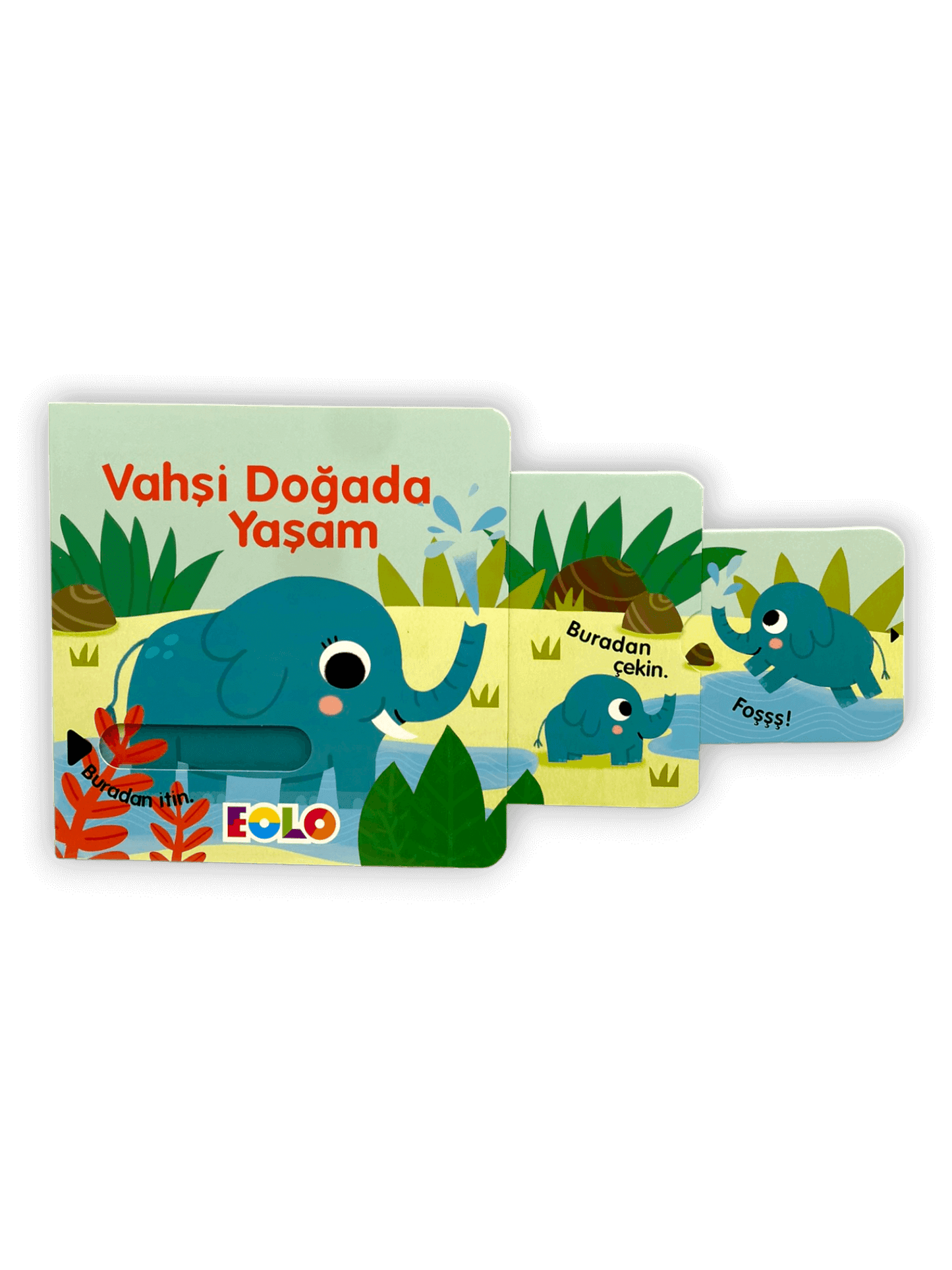 Vahşi Doğada Yaşam