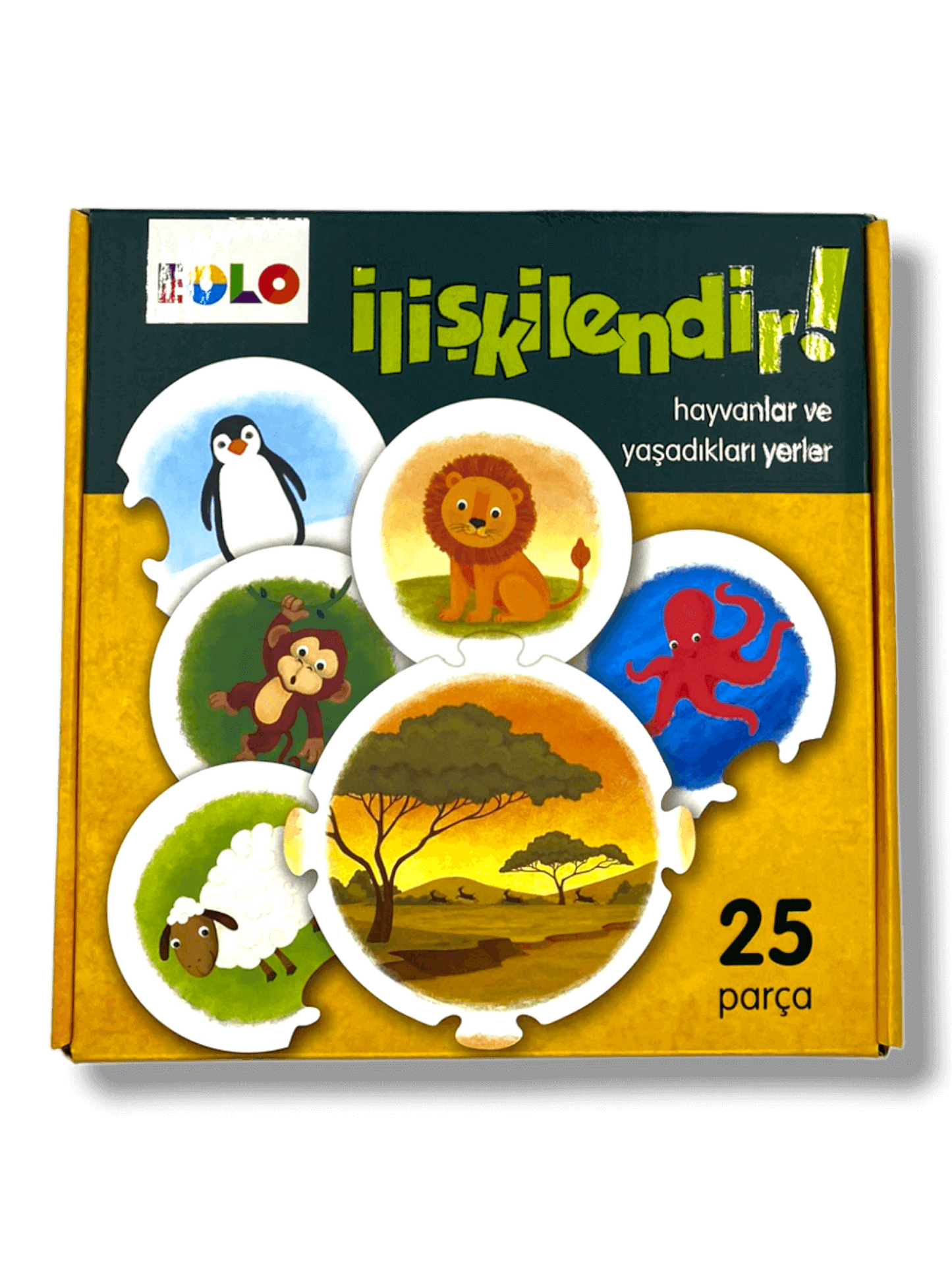 İlişkilendir! - Hayvanlar ve Yaşadıkları Yerler - (Assign the animals!)