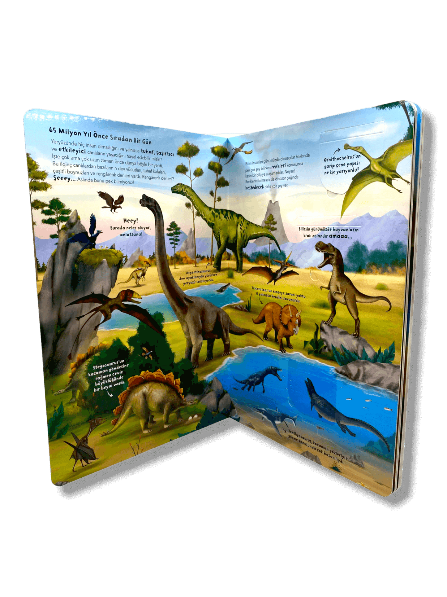Ne Sorsan Bilir Minik-Benim İlk Dinozorlar Kitabım - (Mein erstes Dinosaurierbuch)