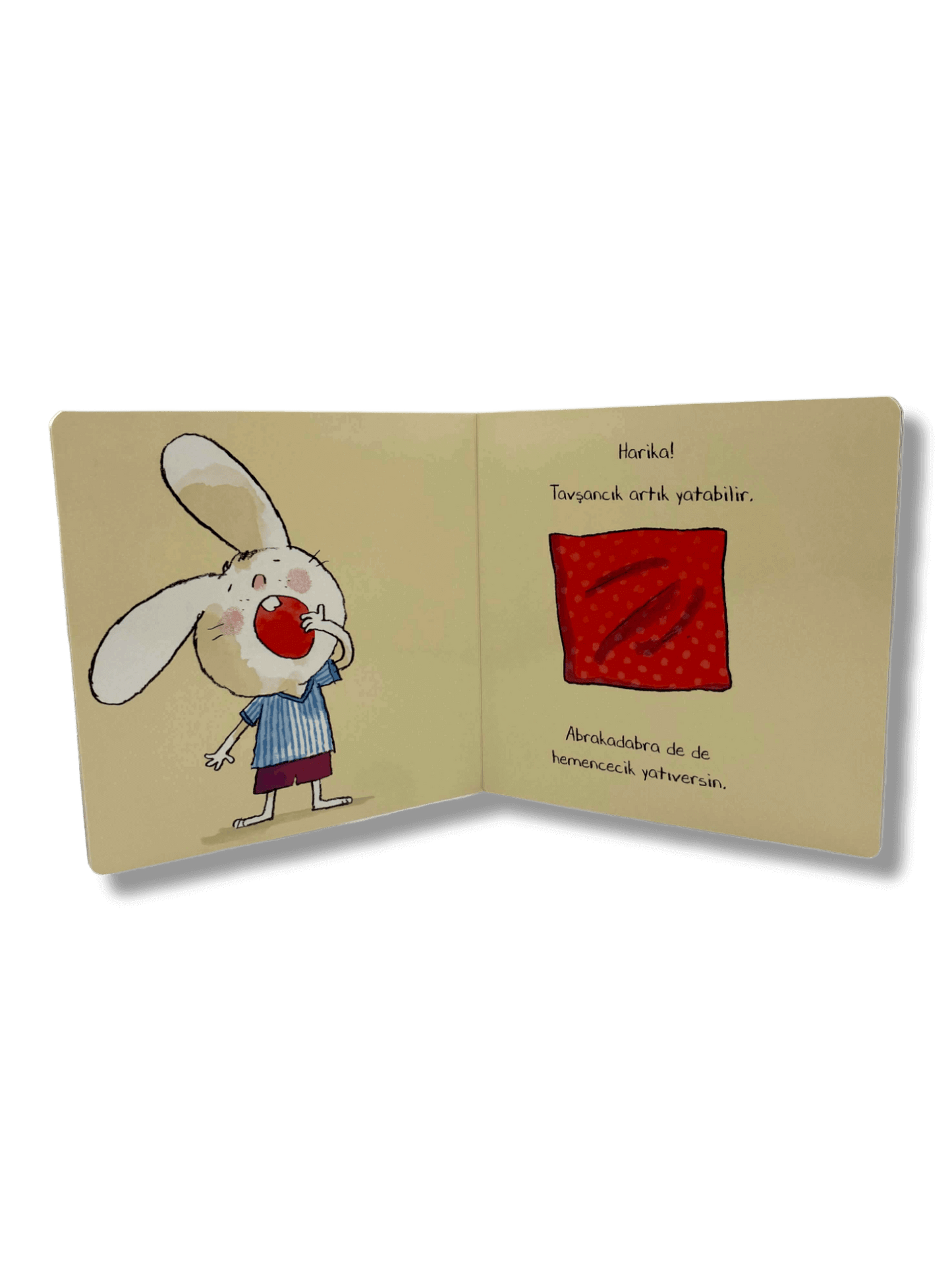 3lü Set Tavşancık kitapları