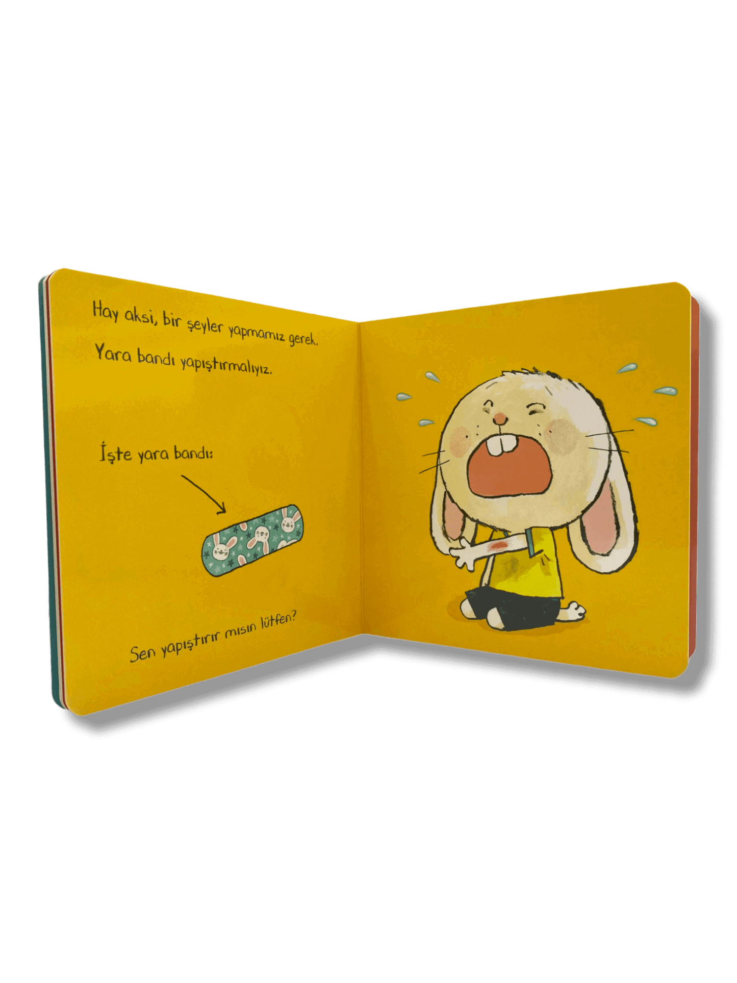 3lü Set Tavşancık kitapları