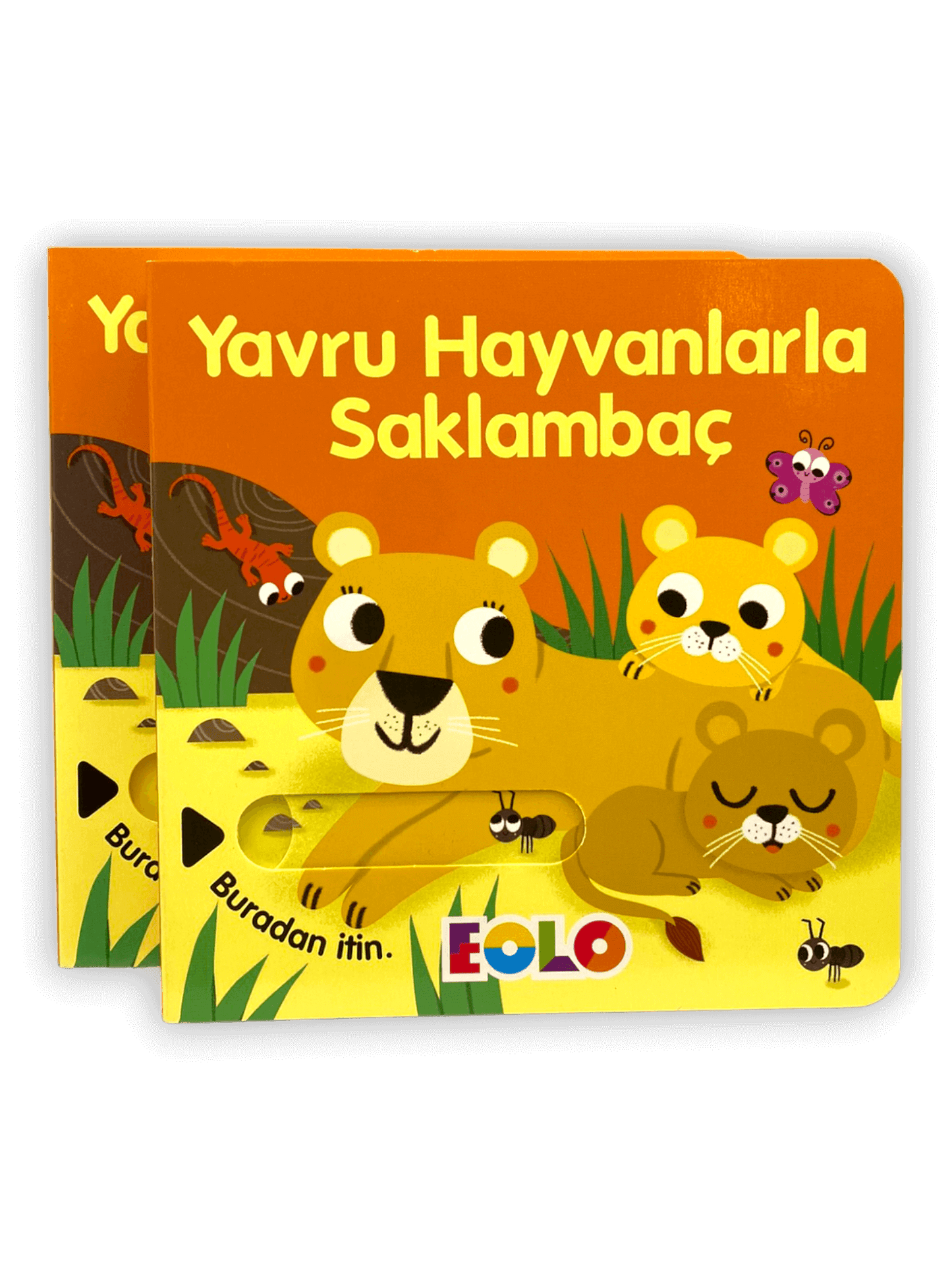 Yavru Hayvanlarla Saklambaç