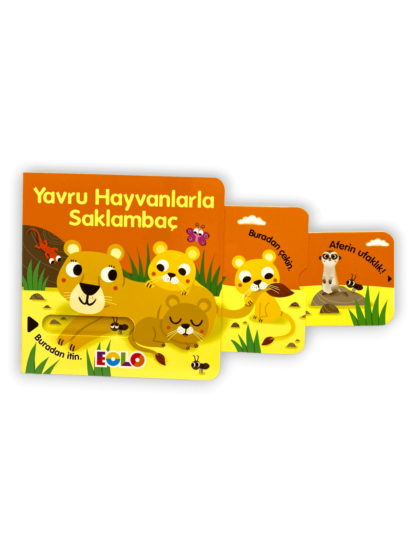Yavru Hayvanlarla Saklambaç