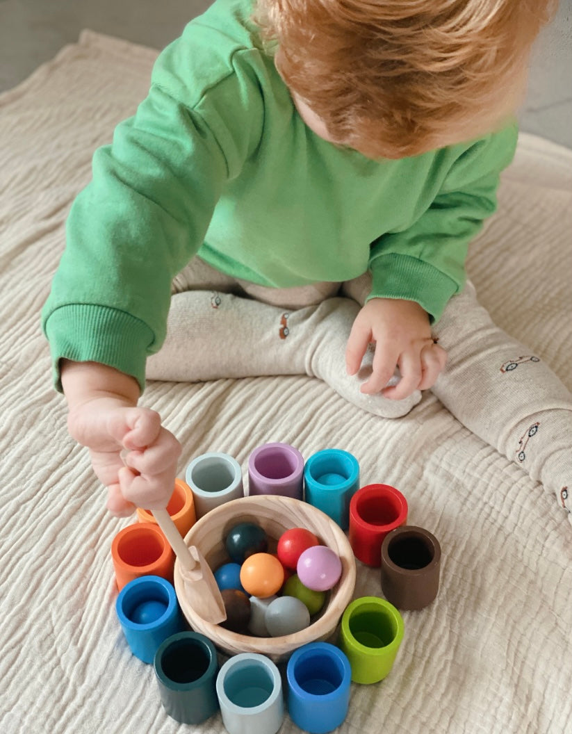Bündel Angebot : Montessori Regenbogen Kugeln & Lernkarten