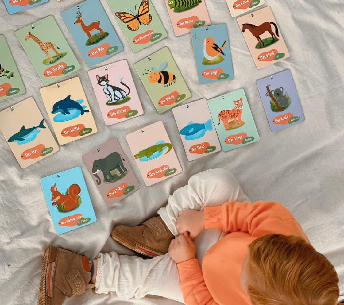 Bündel Angebot : Montessori Regenbogen Kugeln & Lernkarten
